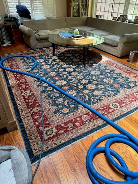Gallery photos for Revitalize Your Home with Expert Rug and Sofa Care: Image #1