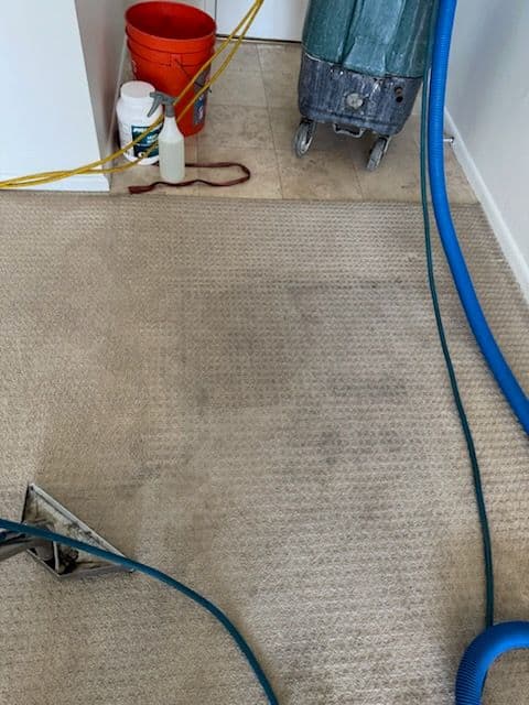 Transform Your Carpets with Precision image