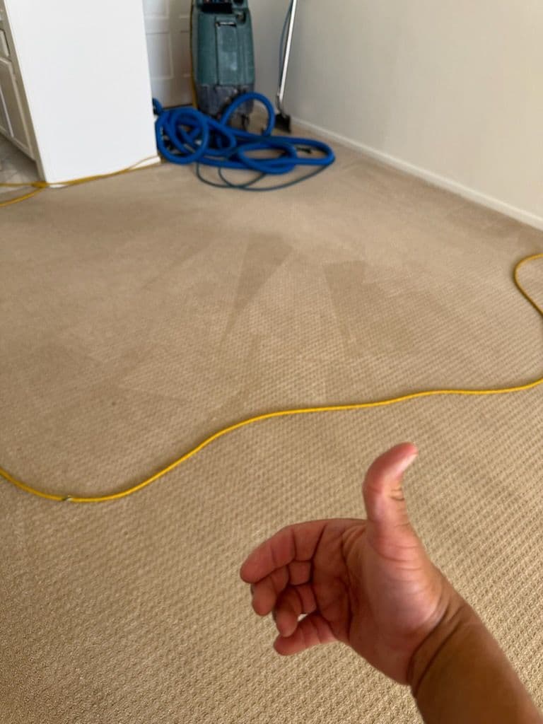 Gallery photos for Transform Your Carpets with Precision: Image #1