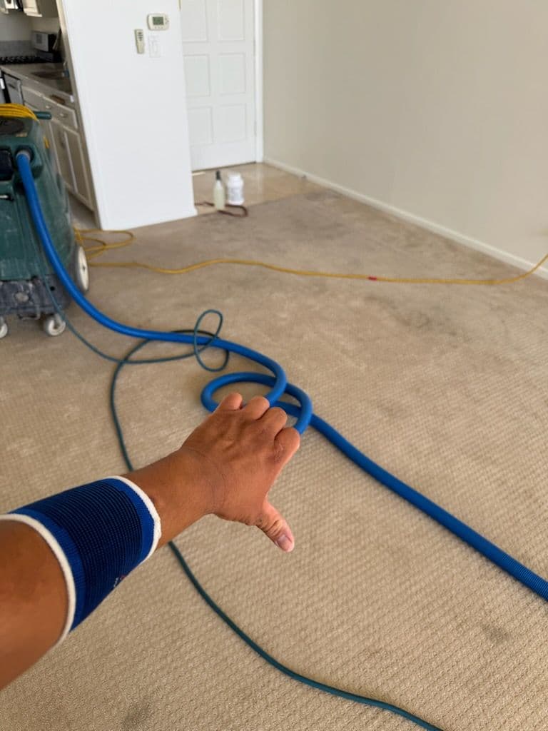 Gallery photos for Transform Your Carpets with Precision: Image #2