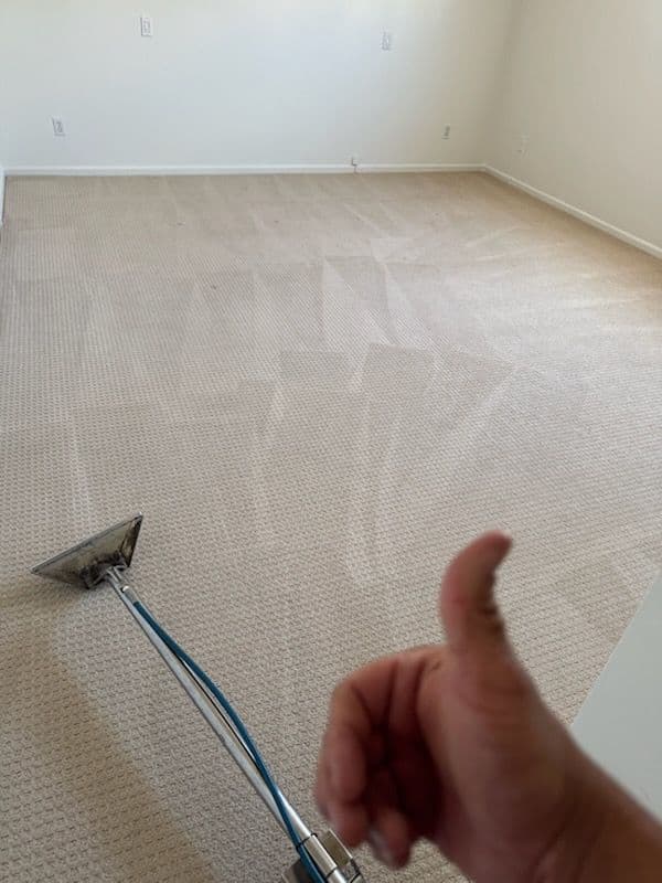 Gallery photos for Transform Your Carpets with Precision: Image #3