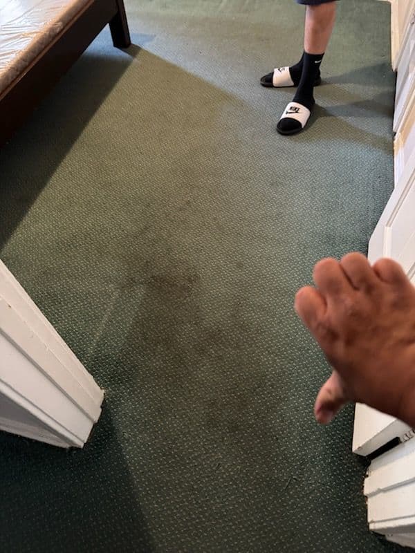 Project Spotless Carpet Transformation in Inglewood image
