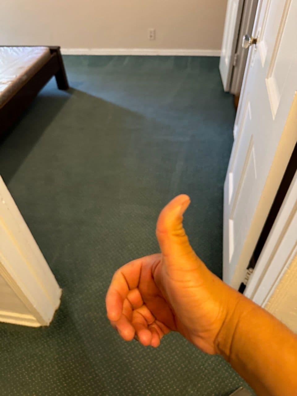 Gallery photos for Spotless Carpet Transformation in Inglewood: Image #1
