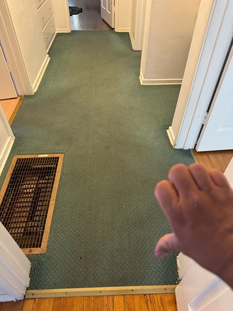 Gallery photos for Spotless Carpet Transformation in Inglewood: Image #2