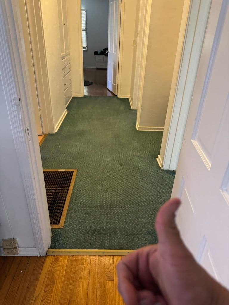 Gallery photos for Spotless Carpet Transformation in Inglewood: Image #3