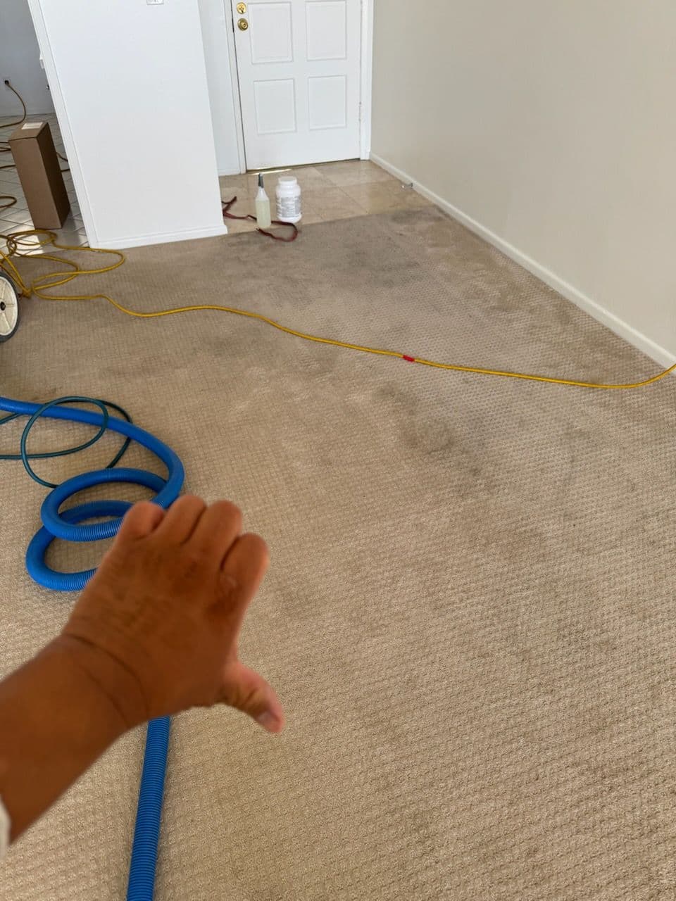 Gallery photos for Wave Goodbye to Carpet Stains: Image #1
