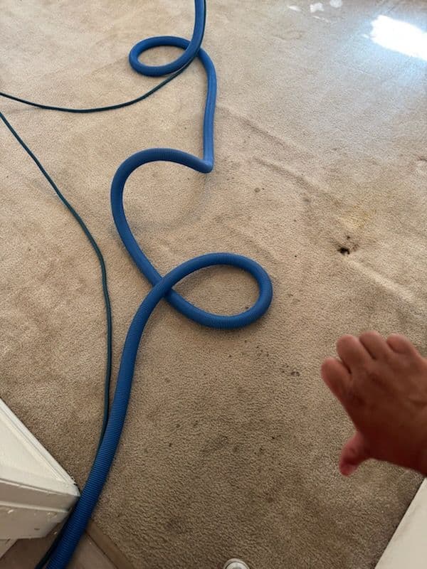 Santa Monica Carpets Transformed by Expert Cleaning image