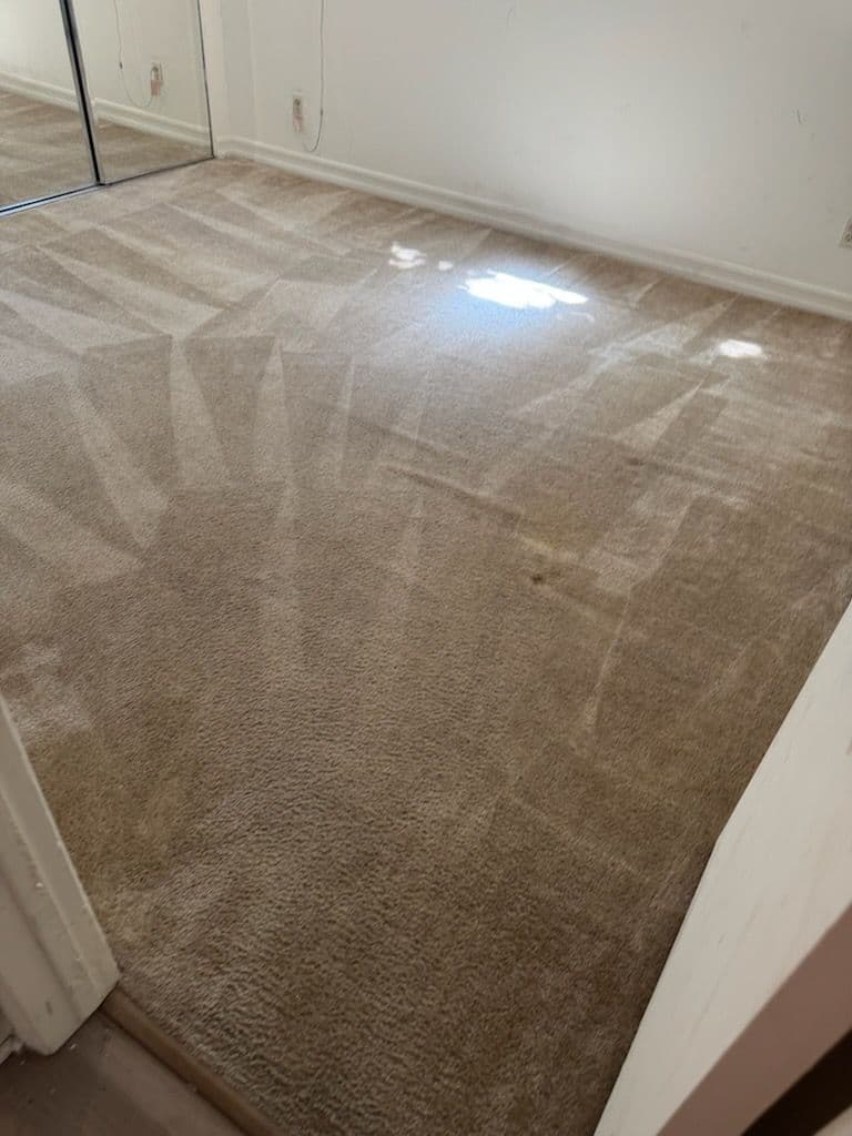 Gallery photos for Santa Monica Carpets Transformed by Expert Cleaning: Image #1