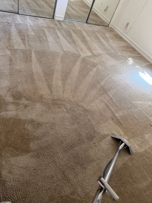 Gallery photos for Santa Monica Carpets Transformed by Expert Cleaning: Image #2