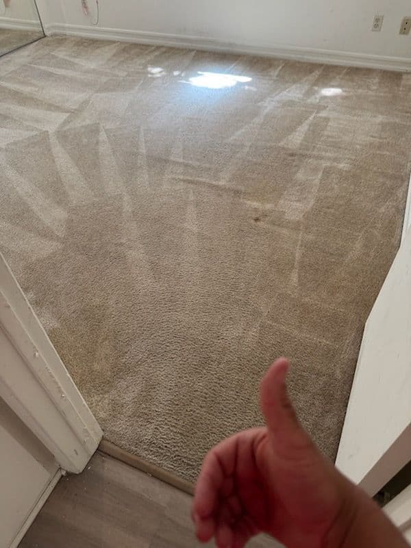 Gallery photos for Santa Monica Carpets Transformed by Expert Cleaning: Image #3