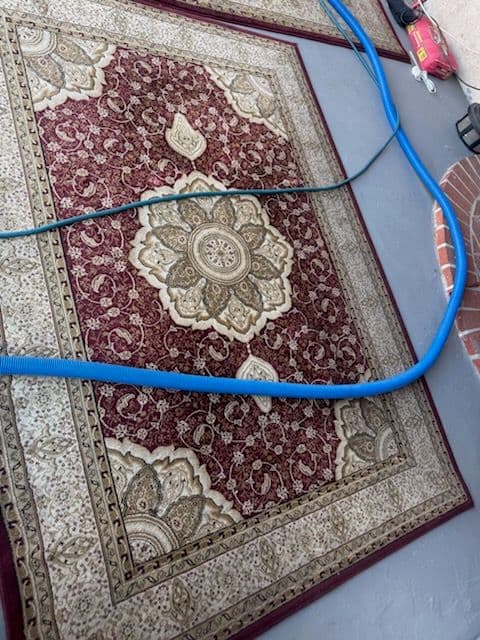Gallery photos for Stunning Carpet Renewal in Reseda: Image #1
