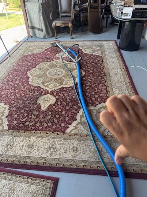 Gallery photos for Stunning Carpet Renewal in Reseda: Image #2