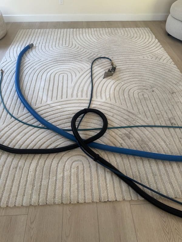 Malibu Carpet Transformation with Expert Cleaning image