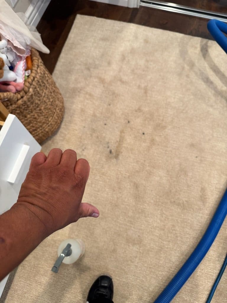 Stunning Clean Carpet in Child's Bedroom image