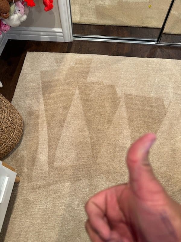 Gallery photos for Stunning Clean Carpet in Child's Bedroom: Image #2
