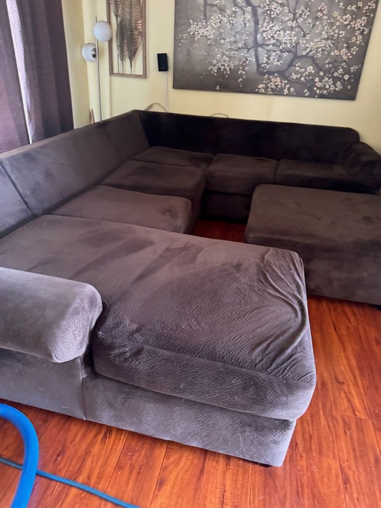 Revitalize Your North Hollywood Sofa Instantly image