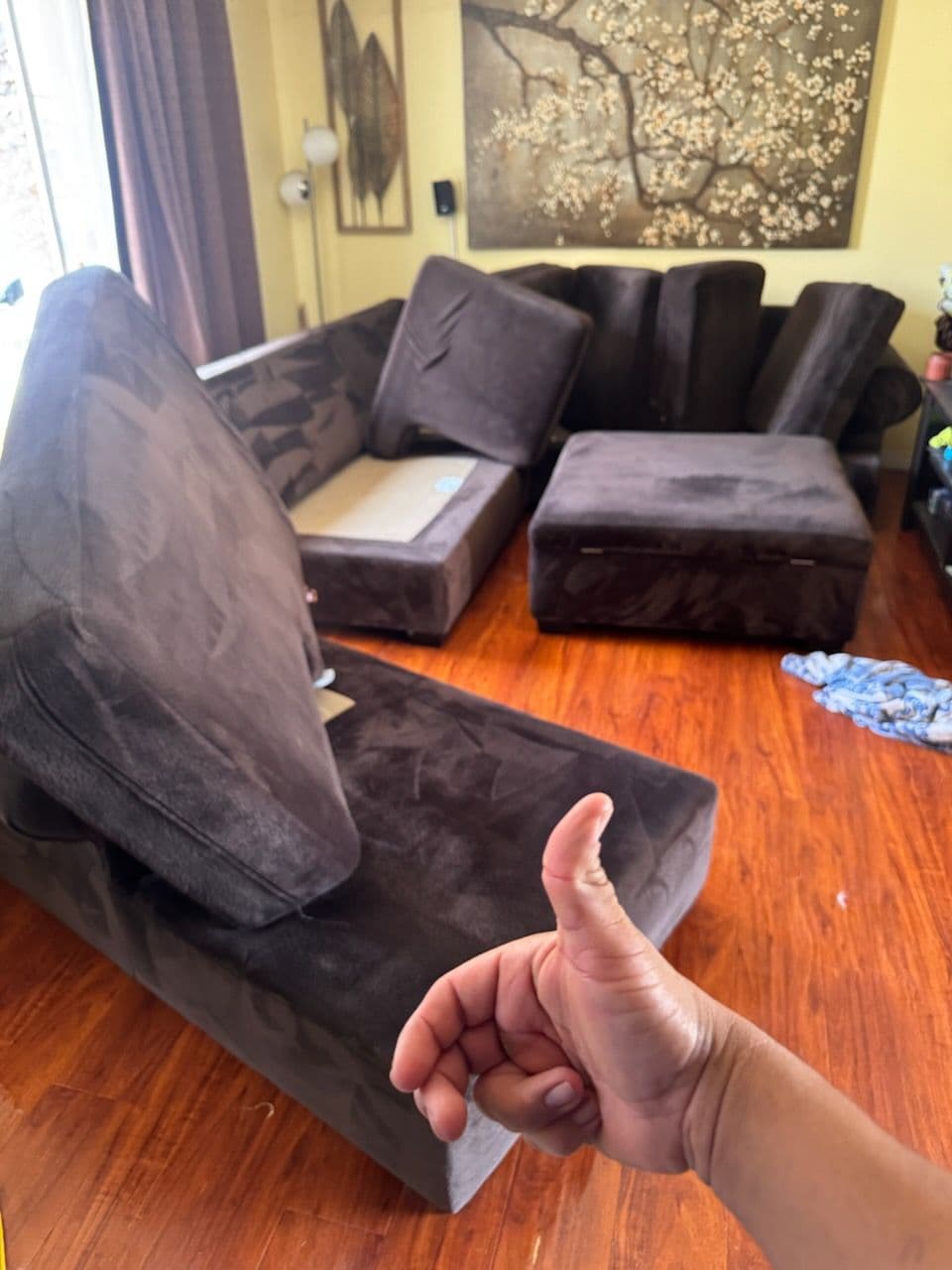 Gallery photos for Revitalize Your North Hollywood Sofa Instantly: Image #1