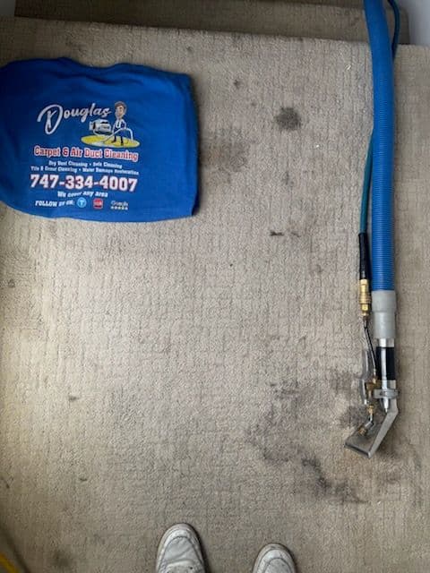 Stain Removal Success on Los Angeles Carpets image