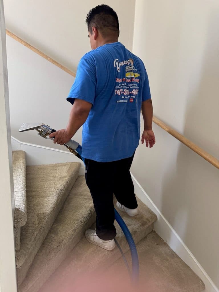 Gallery photos for Stain Removal Success on Los Angeles Carpets: Image #2