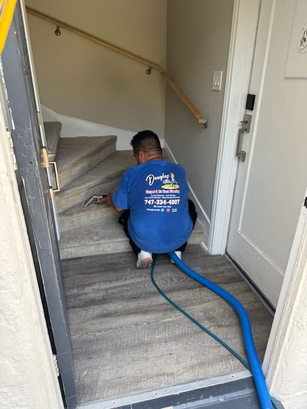 Gallery photos for Stain Removal Success on Los Angeles Carpets: Image #3
