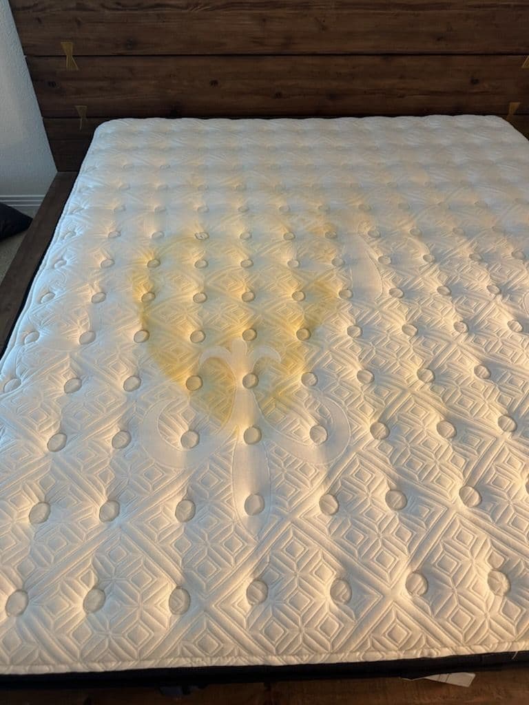 Stubborn Stain Removal in Marina del Rey image