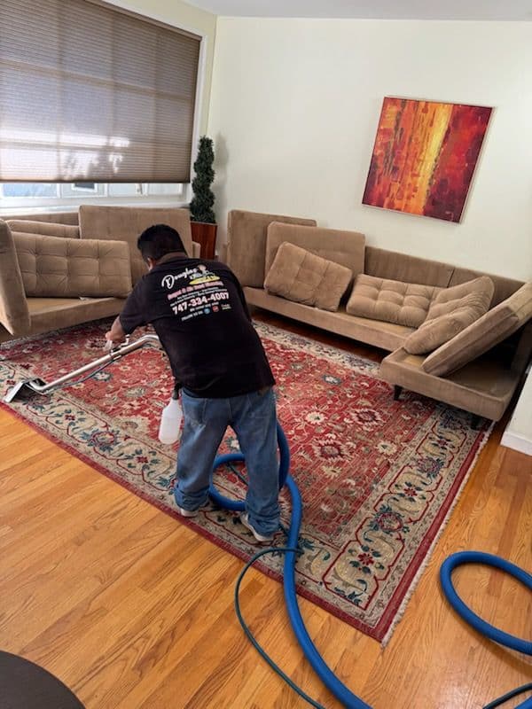 Expert Sofa and Carpet Cleaning Long Beach