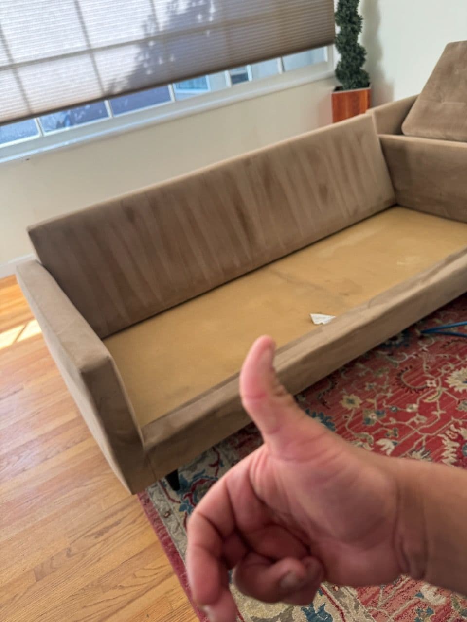 Sofa Renewal with Expert Upholstery Cleaning image