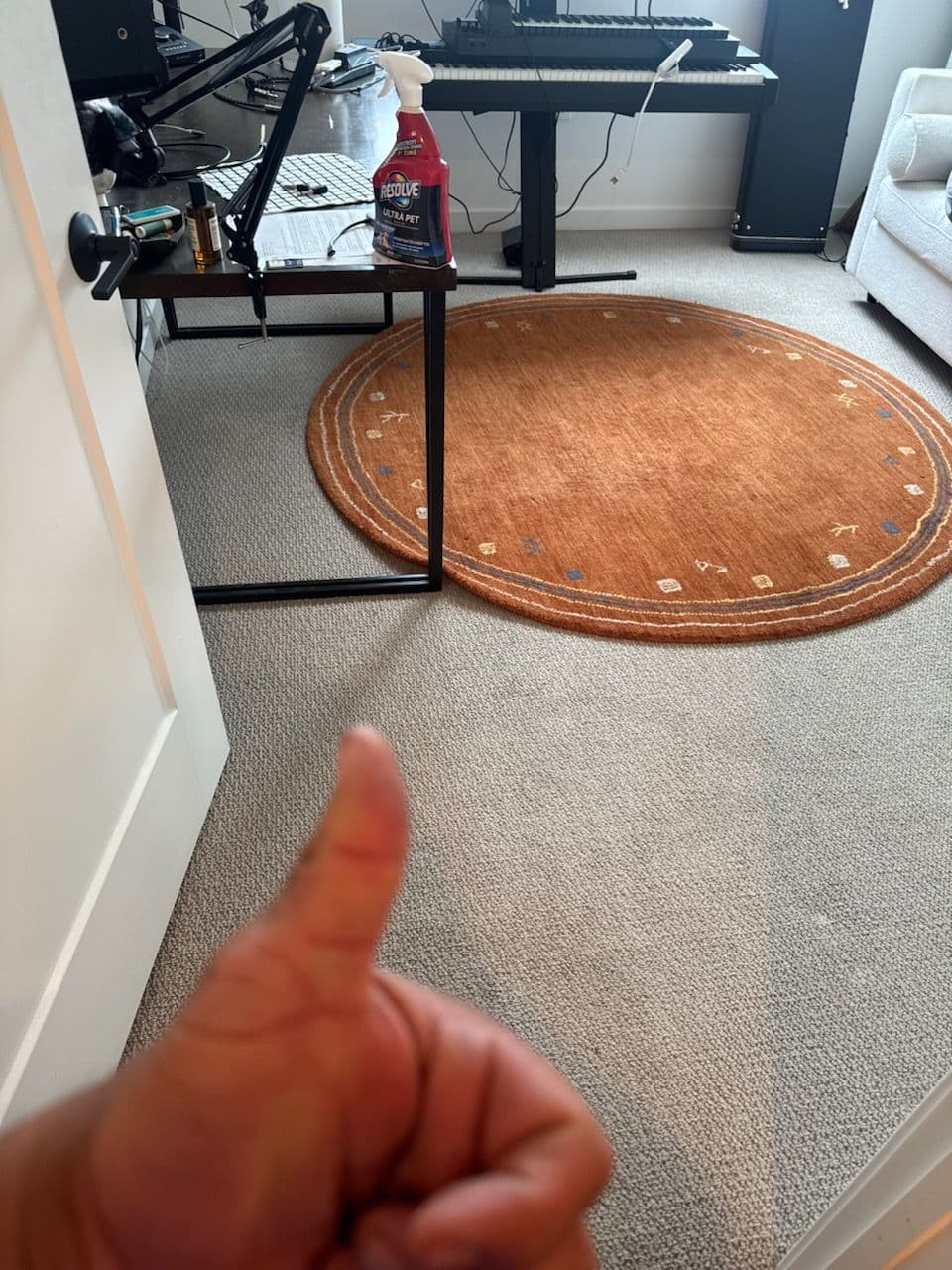 Project Rejuvenate Your Space with Expert Carpet Care image