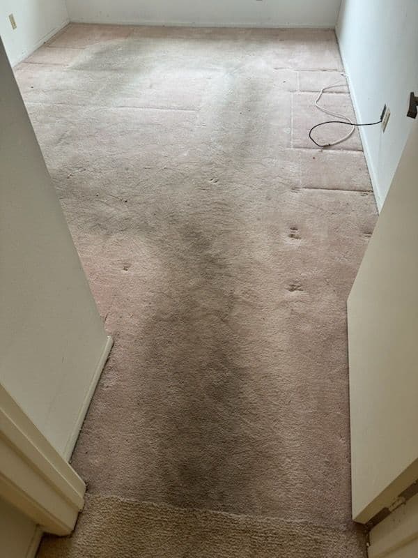 Gallery photos for Expert Carpet Cleaning Transformations in Pasadena: Image #2