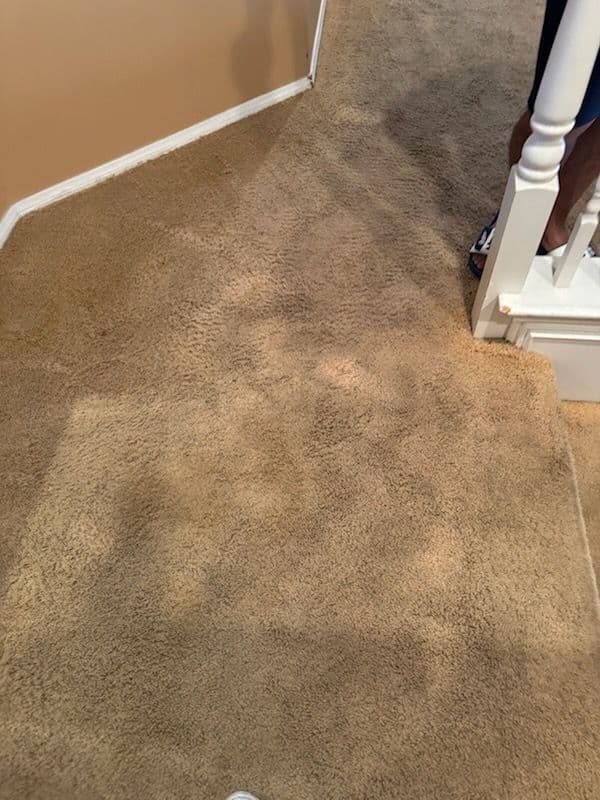 Transform Your Carpets in Camarillo with Ease image