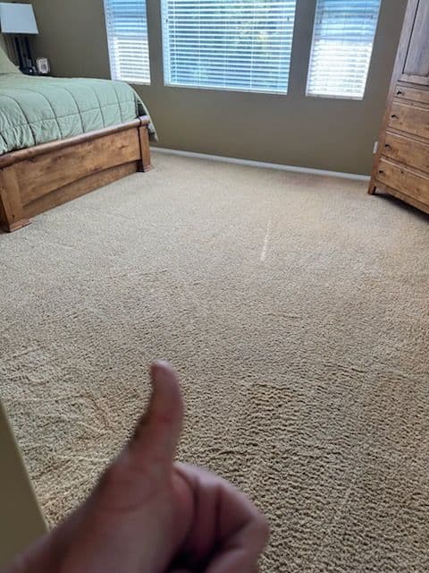 Gallery photos for Transform Your Carpets in Camarillo with Ease: Image #1