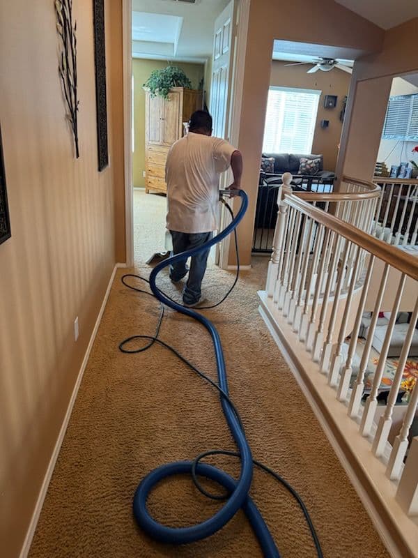 Gallery photos for Transform Your Carpets in Camarillo with Ease: Image #3