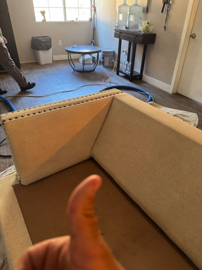 Gallery photos for Transforming Stained Upholstery to Like New: Image #1