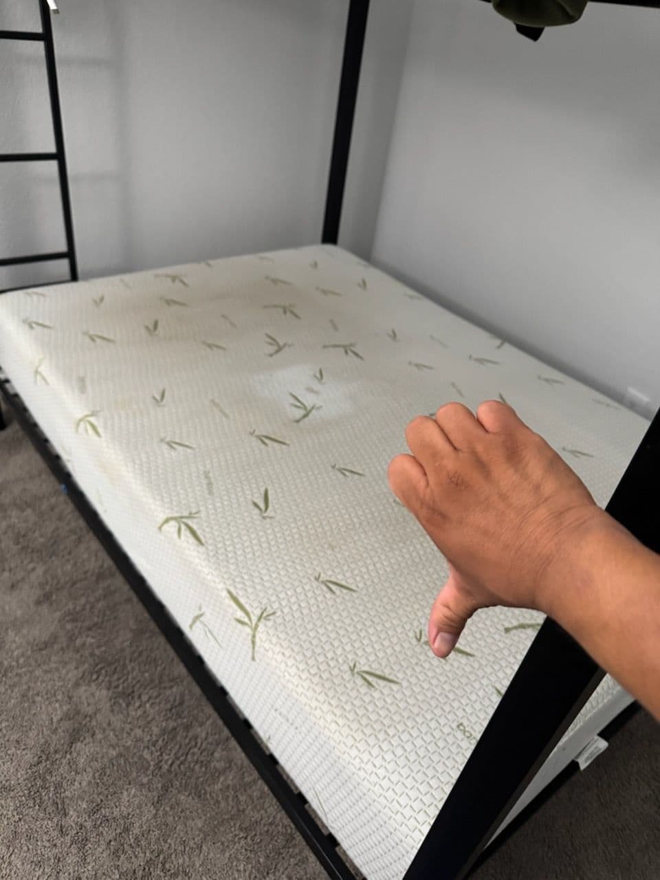 Gallery photos for Transformative Mattress Cleaning in Torrance: Image #2