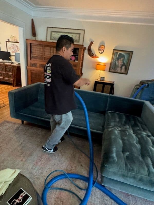 Gallery photos for Transform Your Sofa with Expert Cleaning: Image #1