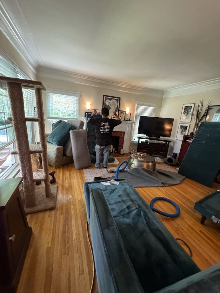 Gallery photos for Transform Your Sofa with Expert Cleaning: Image #2