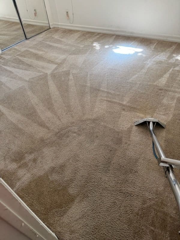 Gallery photos for Stunning Carpet Transformation in Van Nuys: Image #2