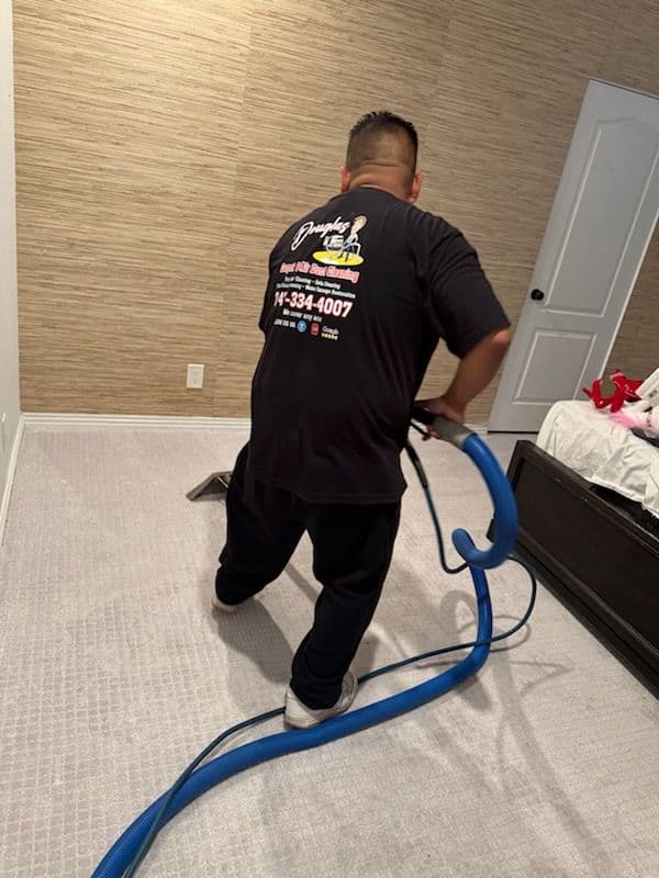 Fresh Carpet Revival in San Pedro image