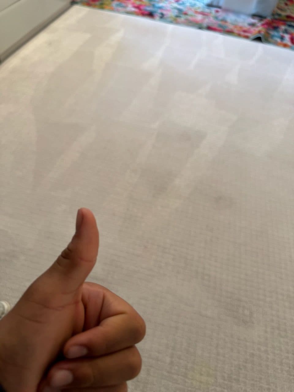 Gallery photos for Fresh Carpet Revival in San Pedro: Image #1