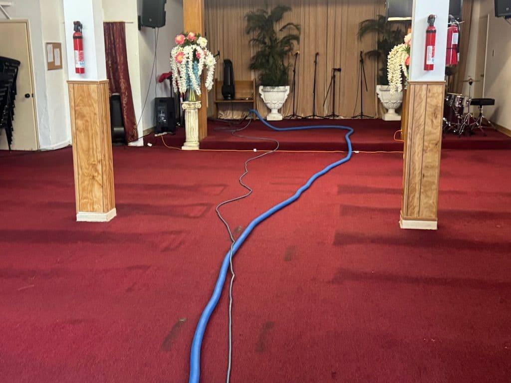Deep Carpet Revival for Long Beach Meeting Hall image