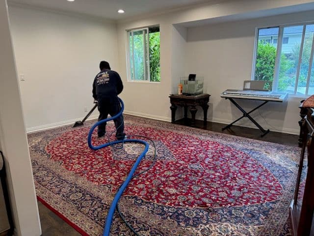 Reviving Rugs with Expert Deep Cleaning Service image