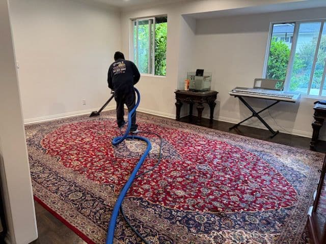 Gallery photos for Reviving Rugs with Expert Deep Cleaning Service: Image #1