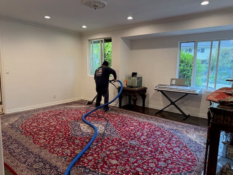 Gallery photos for Reviving Rugs with Expert Deep Cleaning Service: Image #2