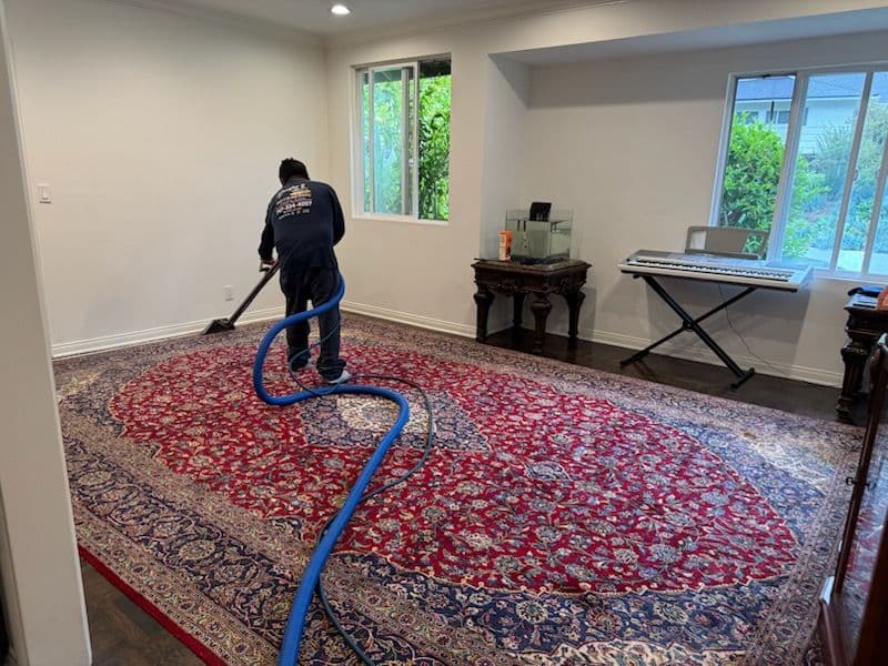 Gallery photos for Reviving Rugs with Expert Deep Cleaning Service: Image #3