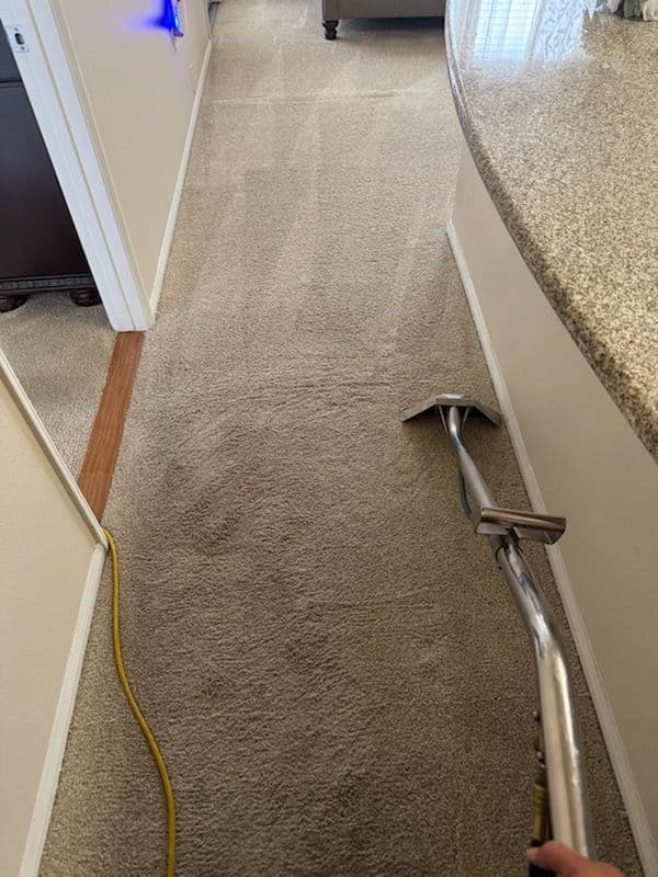 Transform Your Home with Pristine Carpet Care image