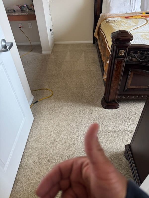 Gallery photos for Transform Your Home with Pristine Carpet Care: Image #2