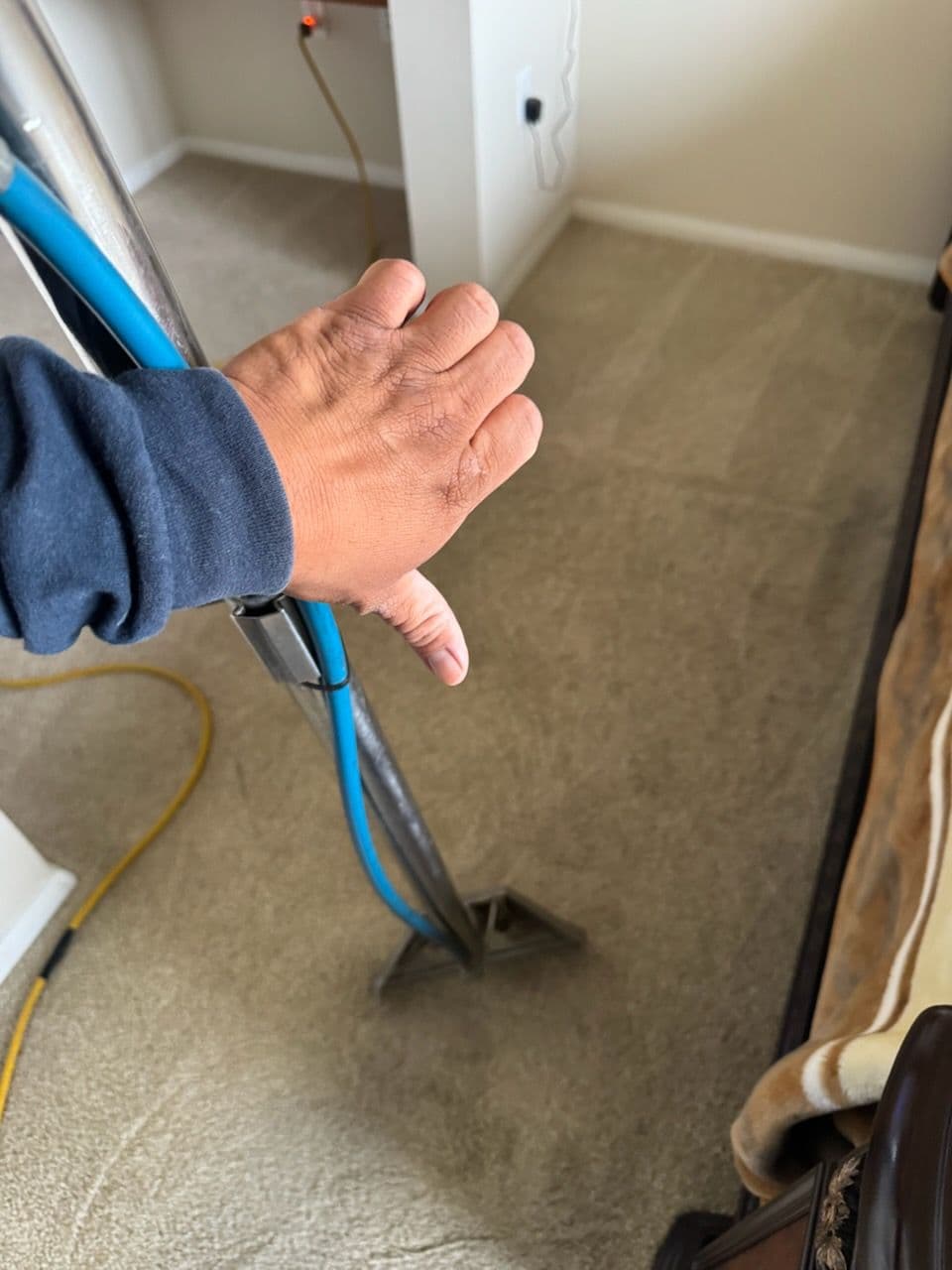 Gallery photos for Transform Your Home with Pristine Carpet Care: Image #3
