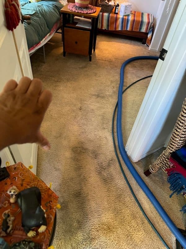 Gallery photos for Amazing Carpet Transformation in Marina del Rey: Image #1