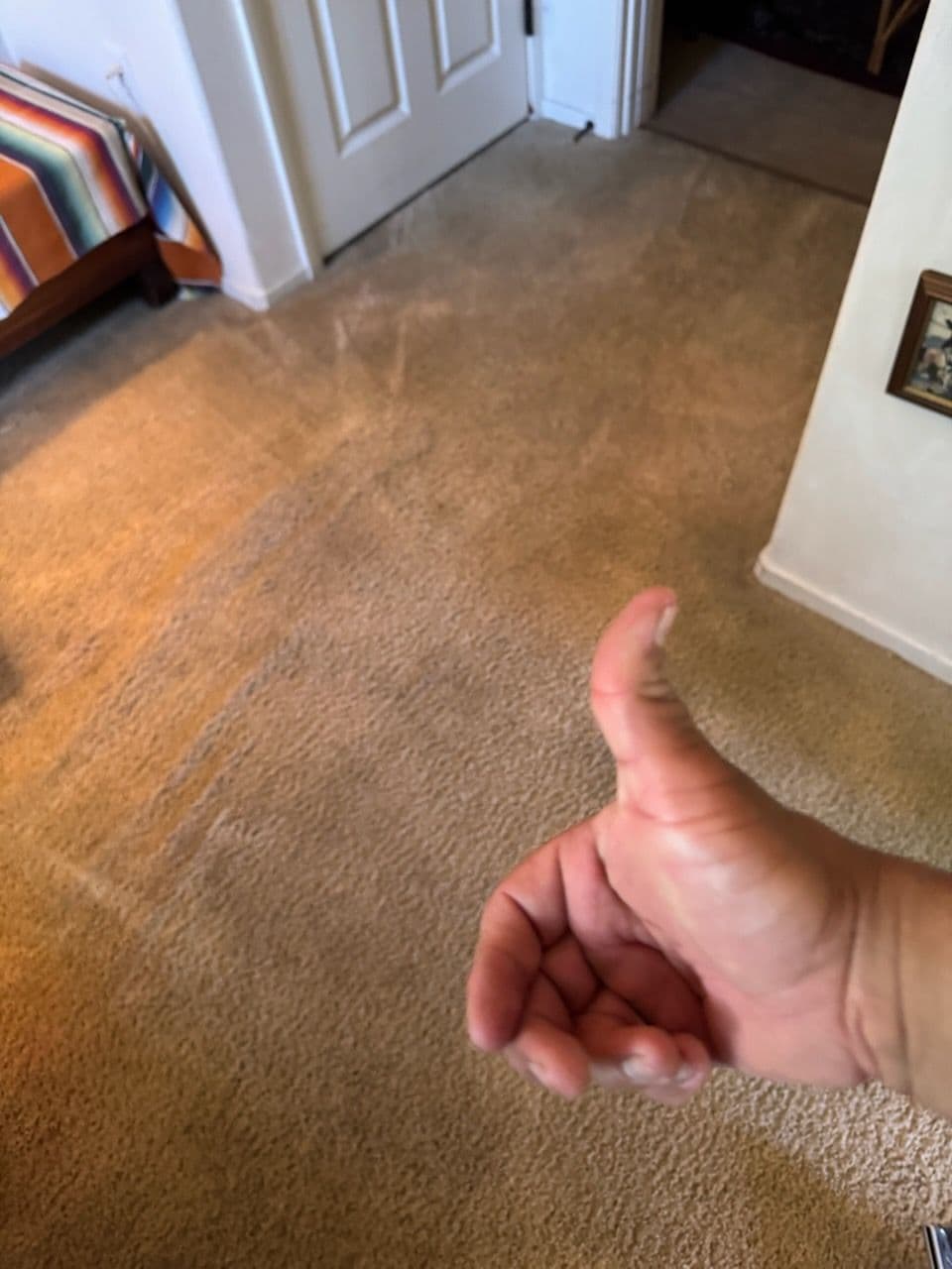 Gallery photos for Amazing Carpet Transformation in Marina del Rey: Image #3