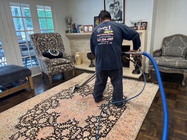 Revitalize Your Rug with Expert Cleaning image